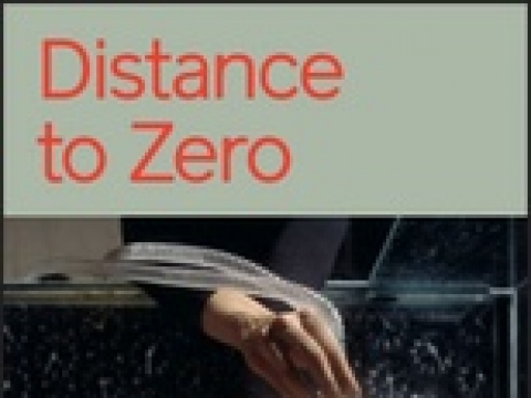 Distance to Zero