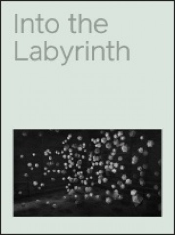 Into the Labyrinth